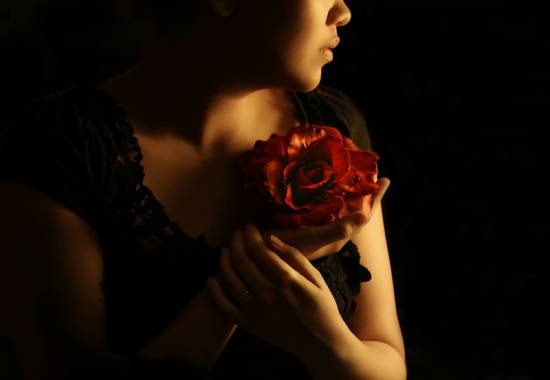 розы красные фото (2)