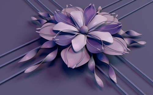 flower_rendering_petals_stamens_lines_stripes_lilac_93681...